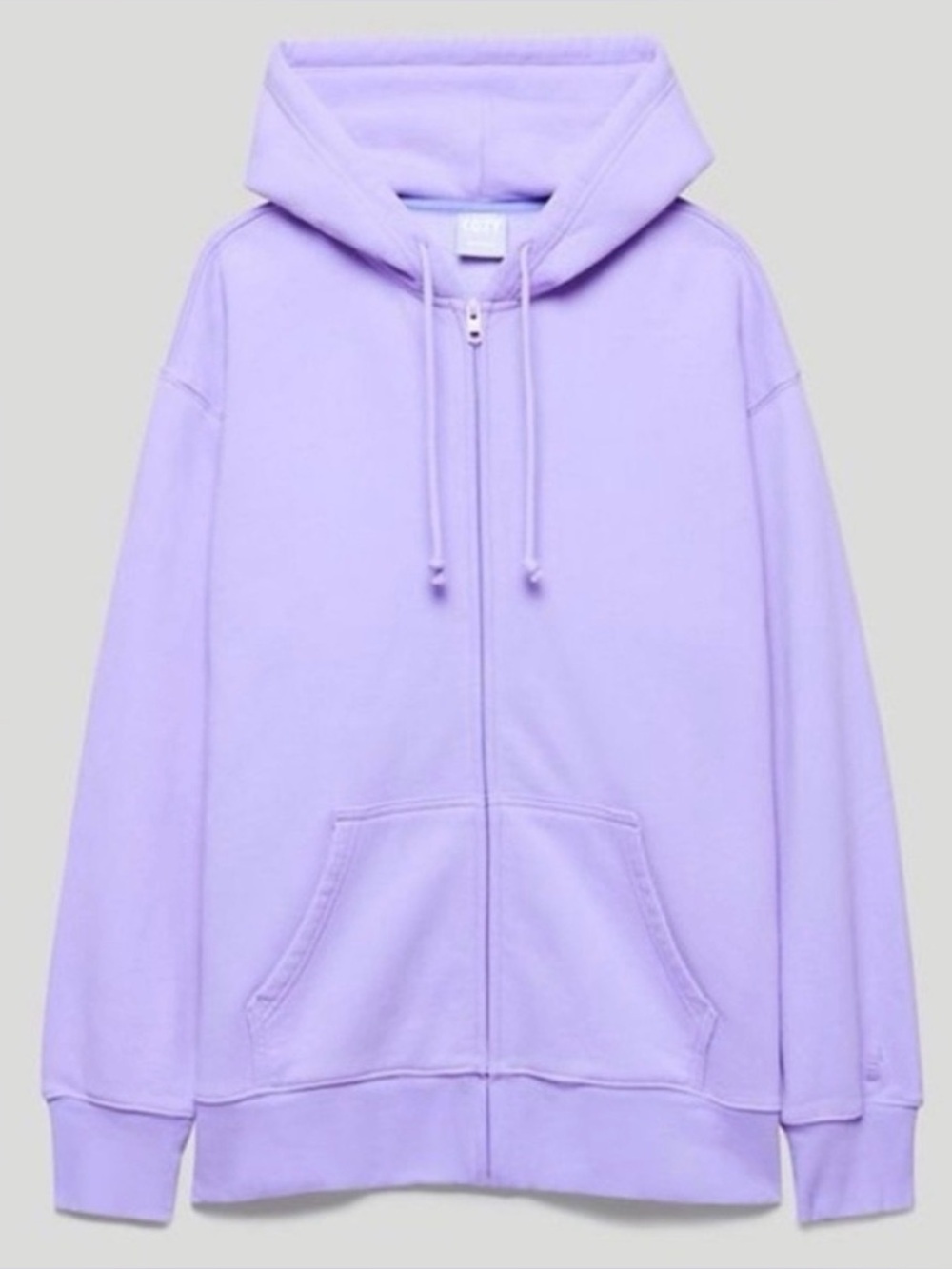 Aritzia Tna Cozy Fleece Boyfriend Zip Hoodie